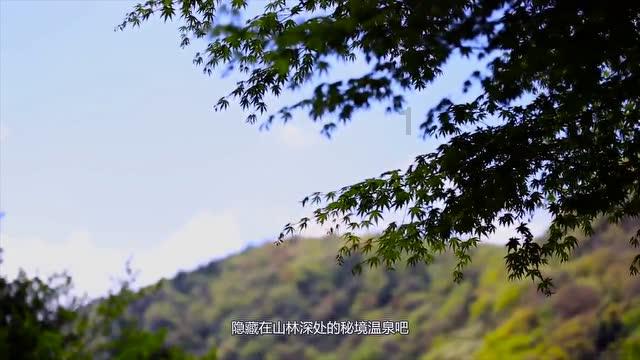 游戏画面